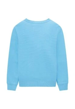 Tom Tailor Sweater - Rainy Sky Blue -Tom Tailor Winkel 016c59d4a8fb4d498ed399758098a1e9