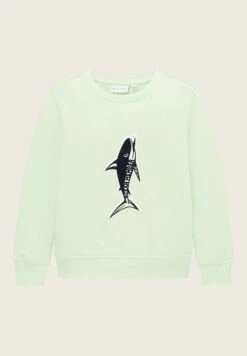 Tom Tailor Mit Artwork  - Sweater - Fresh Apple Lime Green -Tom Tailor Winkel 05d50c559b72469982d873d2609f29f9