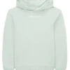 Tom Tailor Mit Print - Hoodie - Vintage Mint 2 Tom Tailor Mit Print - Hoodie - Vintage Mint -Tom Tailor Winkel 210dcaeec3884cda883a02dbe01d1740