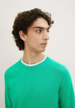 TOM TAILOR Denim Basic- Trui - Fresh Peppermint -Tom Tailor Winkel 282161d7f59549768514e40c86785120