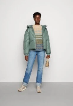 TOM TAILOR Denim Modern Short- Winterjas - Green Dust -Tom Tailor Winkel 2aa8245e371c492eaa36ebb23faba26d