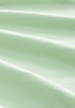 TOM TAILOR Denim Mit Gürtel - Chino - Placid Green -Tom Tailor Winkel 35643c7ca5a34a58b434c1a192aa17f4