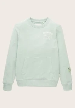 Tom Tailor Mit Print - Sweater - Vintage Mint 17 Tom Tailor Mit Print - Sweater - Vintage Mint -Tom Tailor Winkel 530330177ebd45ef9be0b42764dd9aed