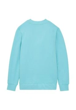 Tom Tailor Sweater - Light Dusty Blue -Tom Tailor Winkel 54306d1818694e888661242673619973