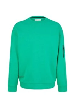 TOM TAILOR Denim Mit Print  - Sweater - Fresh Peppermint -Tom Tailor Winkel 62827f2cfd264476a92355d24756371f