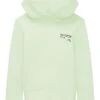 Tom Tailor Strick Mit Print - Hoodie - Fresh Apple Lime Green -Tom Tailor Winkel 62f8f8421e01462985b0330bc4006394