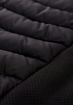 Tom Tailor Plus - Hybrid - Winterjas - Black -Tom Tailor Winkel 70030c42ec774f298e40b10c231a5f95