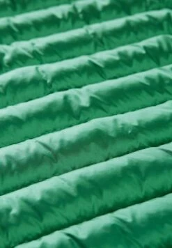 Tom Tailor Mit Kapuze - Winterjas - Vivid Leaf Green -Tom Tailor Winkel 7181972fe2794abca042a3e1ce8e92d6