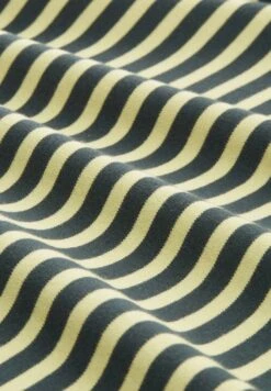 TOM TAILOR Denim Contrast Neck - Longsleeve - Tonal Green Stripe -Tom Tailor Winkel 718ead5a5e90486e8c6d346f2f6b3529