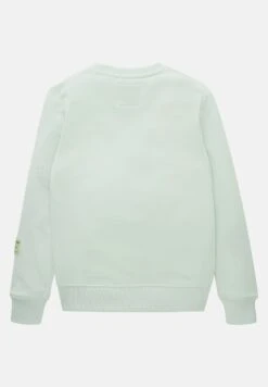 Tom Tailor Mit Print - Sweater - Vintage Mint 15 Tom Tailor Mit Print - Sweater - Vintage Mint -Tom Tailor Winkel 770375b75f944bf4825a33e0843853ac