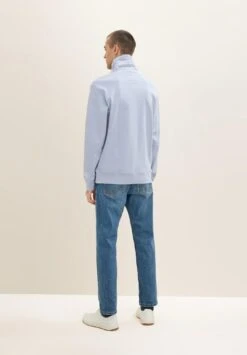 Tom Tailor Mit Stehkragen - Sweater - Light Fern Blue -Tom Tailor Winkel 89ff949d30b2479a9cdf7326a6ba67f1