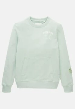 Tom Tailor Mit Print - Sweater - Vintage Mint 14 Tom Tailor Mit Print - Sweater - Vintage Mint -Tom Tailor Winkel 8cb3555ba39e448fafa0f35cf9e582d0