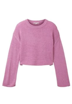 TOM TAILOR Denim Boxy Crew Neck - Trui - Blueberry Blush -Tom Tailor Winkel aca31fe5b7a647ad80bb7cfc71ccaf39
