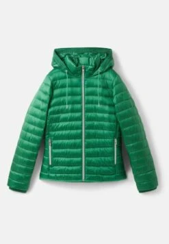Tom Tailor Mit Kapuze - Winterjas - Vivid Leaf Green -Tom Tailor Winkel b0b9ee3eaa6b4f918b2ea00845436326