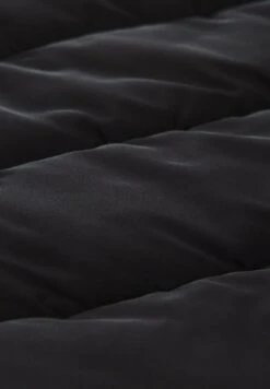 Tom Tailor Puffer Mit Kapuze - Winterjas - Deep Black -Tom Tailor Winkel b232ce2735d24827b4ec7994cafc2b2a