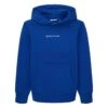 Tom Tailor Mit Logo - Hoodie - Shiny Royal Blue -Tom Tailor Winkel c02d787f2dc84eaca3ca561cbe96790a