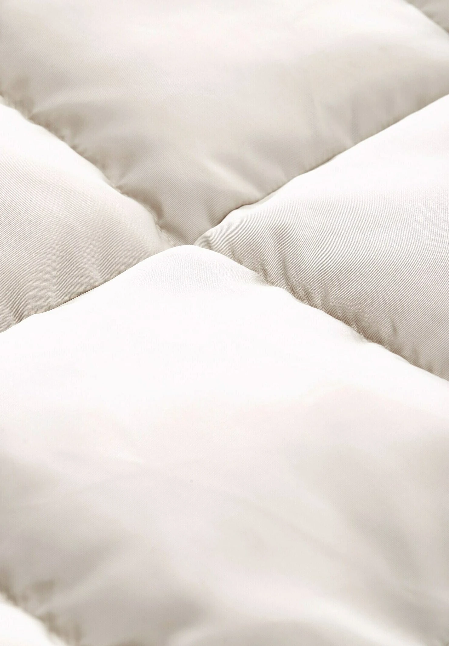 Tom Tailor Gesteppter - Winterjas - Cold Beige 8 Tom Tailor Gesteppter - Winterjas - Cold Beige - Afbeelding 6