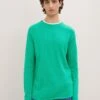 TOM TAILOR Denim Basic- Trui - Fresh Peppermint -Tom Tailor Winkel d68055e3517c45ed9aa4a5dd59703bd0