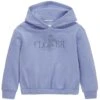 Tom Tailor Oversized- Hoodie - Calm Lavender -Tom Tailor Winkel db3180b3d76847ae92278d03c966b4e2