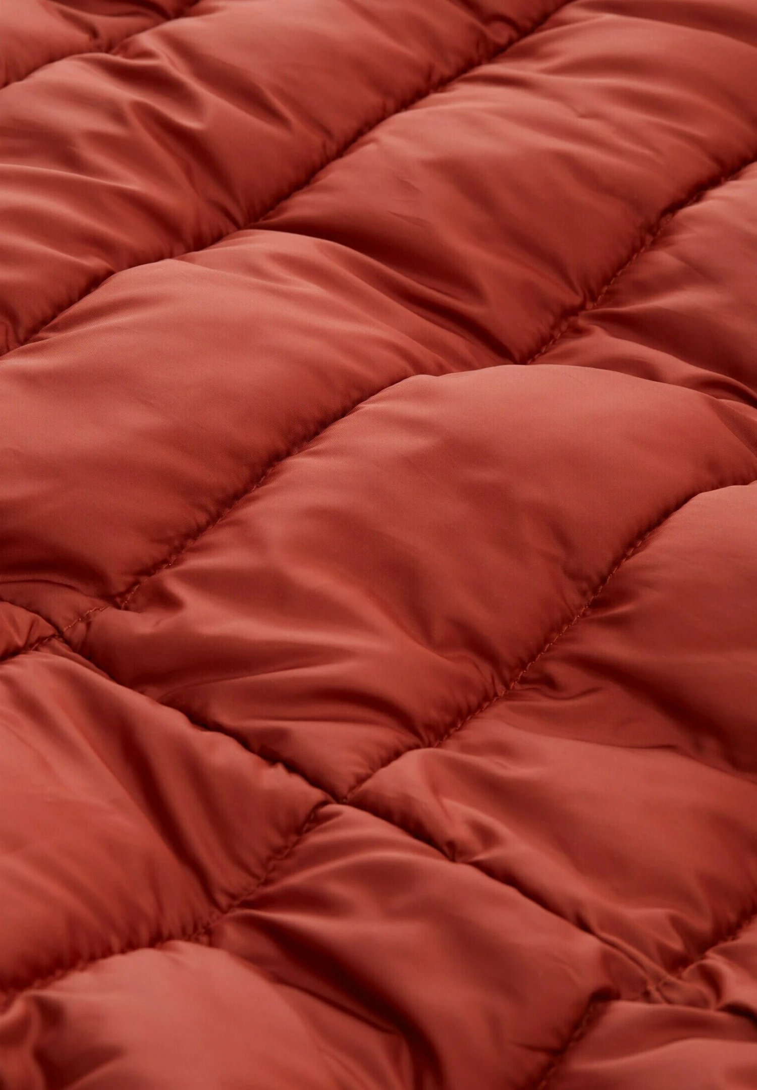 TOM TAILOR Denim Lightweight Puffer - Winterjas - DarkBrown 8 TOM TAILOR Denim Lightweight Puffer - Winterjas - DarkBrown - Afbeelding 6