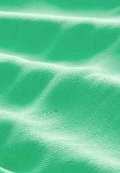 TOM TAILOR Denim Mit Rückenschlitz - Blouse - Strong Green 16 TOM TAILOR Denim Mit Rückenschlitz - Blouse - Strong Green -Tom Tailor Winkel e7f7b745aa244a5991fd08ce75593658