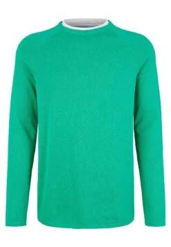 TOM TAILOR Denim Basic- Trui - Fresh Peppermint -Tom Tailor Winkel ebfbdb7239ba4dd9aec7c1da368a224c