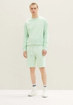 TOM TAILOR Denim Bermuda - Shorts - Green White Chambray
