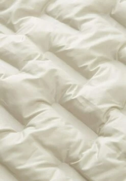 Tom Tailor Regular FitMit Steppungen - Jas - Beige Alfalfa 15 Tom Tailor Regular FitMit Steppungen - Jas - Beige Alfalfa -Tom Tailor Winkel ff752b9a491d47199ffb849d7b15915b