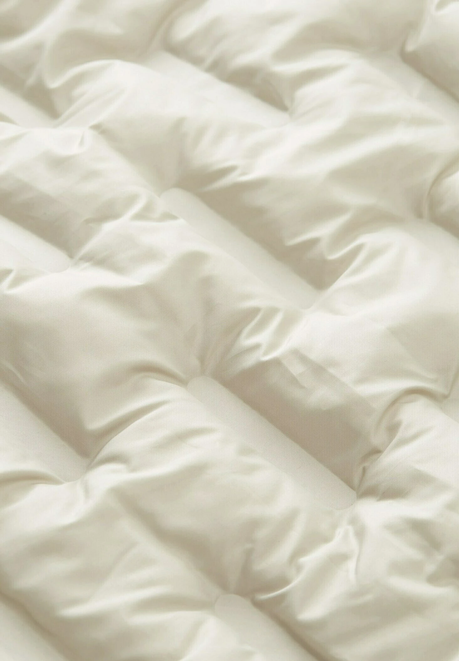 Tom Tailor Regular FitMit Steppungen - Jas - Beige Alfalfa 8 Tom Tailor Regular FitMit Steppungen - Jas - Beige Alfalfa - Afbeelding 6